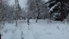 волонтеры помогли пожилым людям в расчистке дворовой территории от снега.