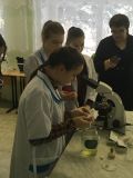 В агропромышленном институте состоялась встреча со школьниками по направлению «Агропромышленные  и биотехнологии»
