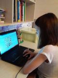 Шахматный онлайн-матч ко Дню учителя